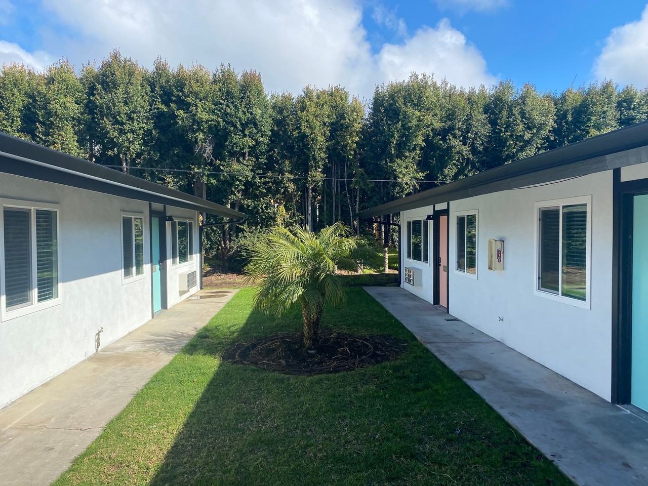 Katz - 945 Pine - Photo 6 of 11