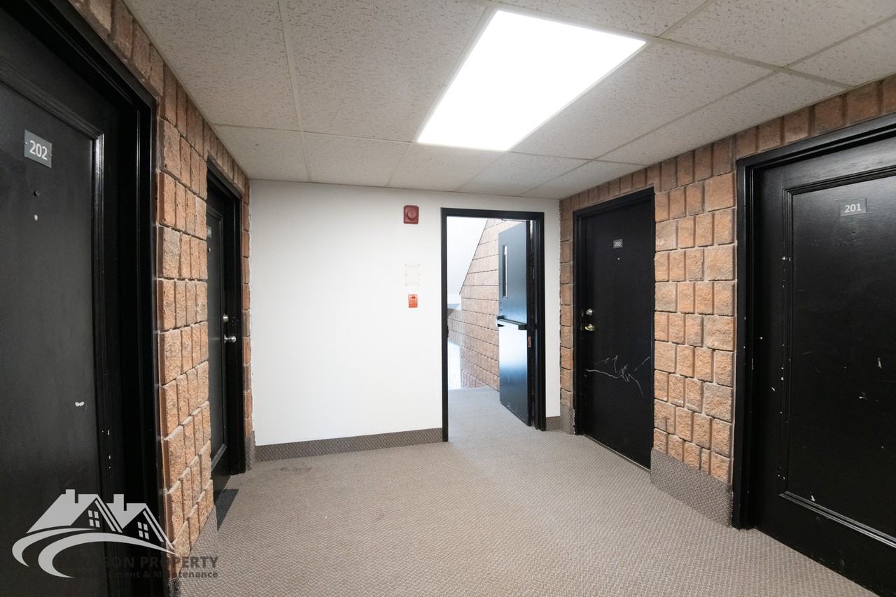 388 Park Ave E #203 - Photo 3 of 12