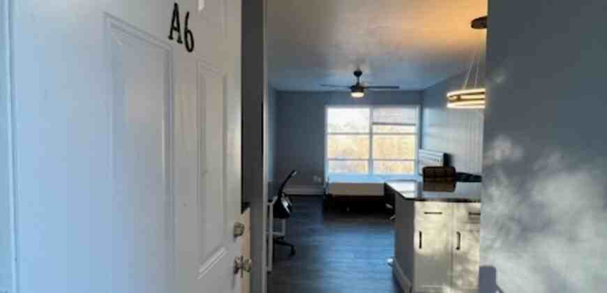 401 Smith StreetA6 #A6 - Photo 2 of 11