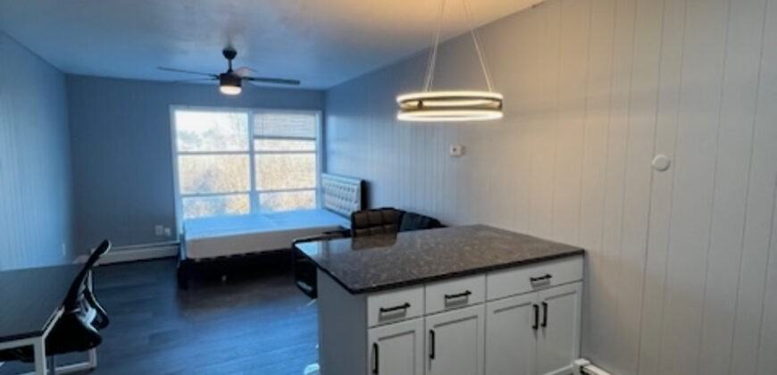 401 Smith StreetA6 #A6 - Photo 3 of 11