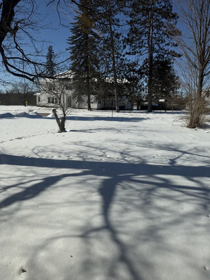 107 Cottage St #1 - Photo 4 of 8