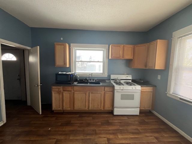 420 S Olive St #1 - Photo 7 of 15