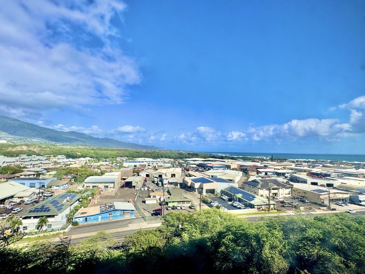 493 Pio Dr #315 - Photo 3 of 16