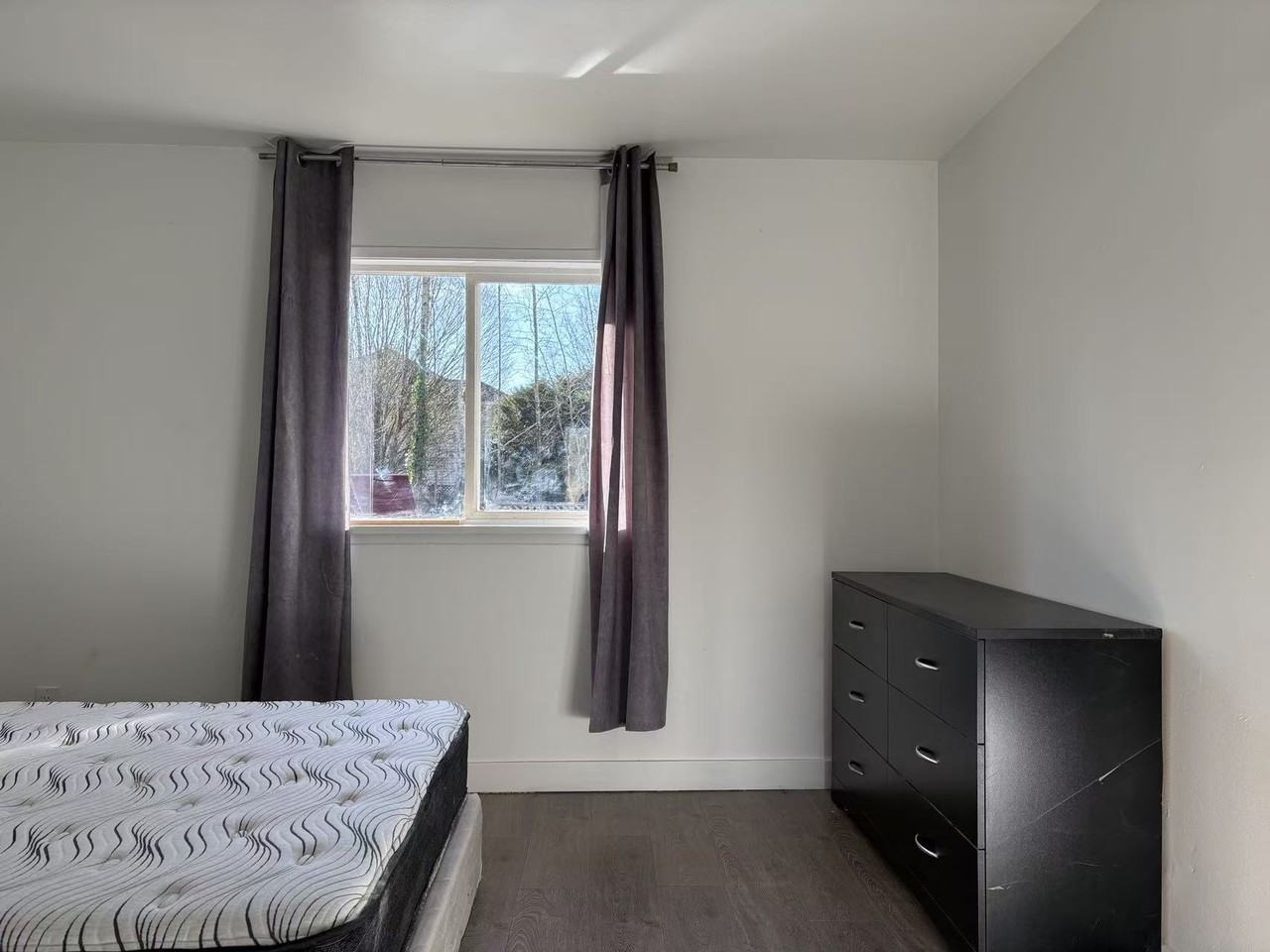 23248 Dewdney Trunk Rd #1 - Photo 5 of 10