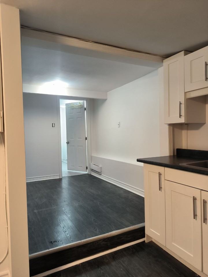 159 Gladstone Ave - Photo 4 of 10