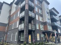 12109 223 St #516 - Photo 1 of 1