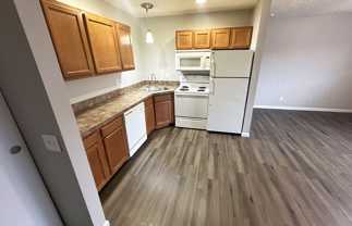 Lowell 550 - Photo 1 of 1