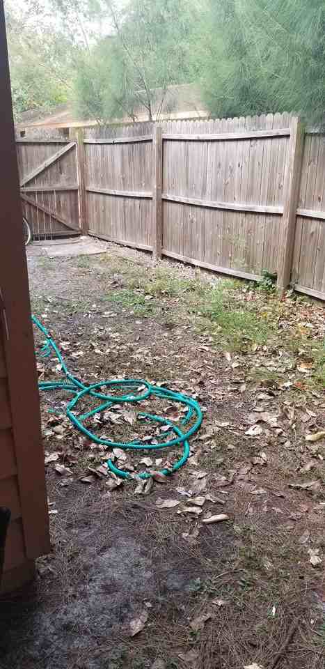 4840 Royal Palm Ave #4840 - Photo 3 of 19