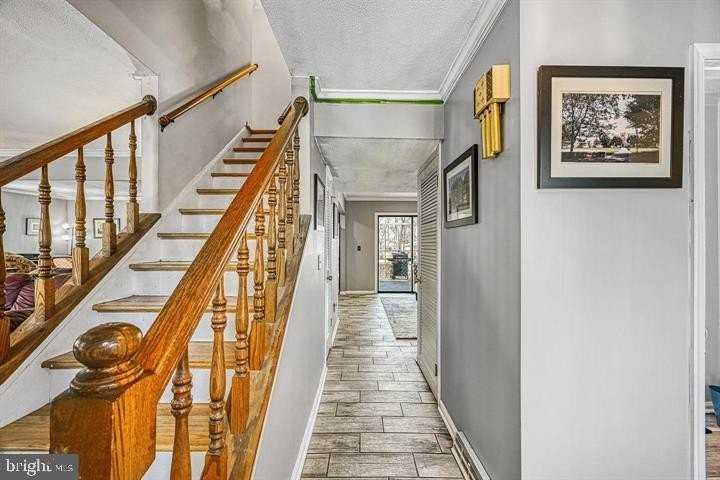 119 Birchside Cir - Photo 5 of 44