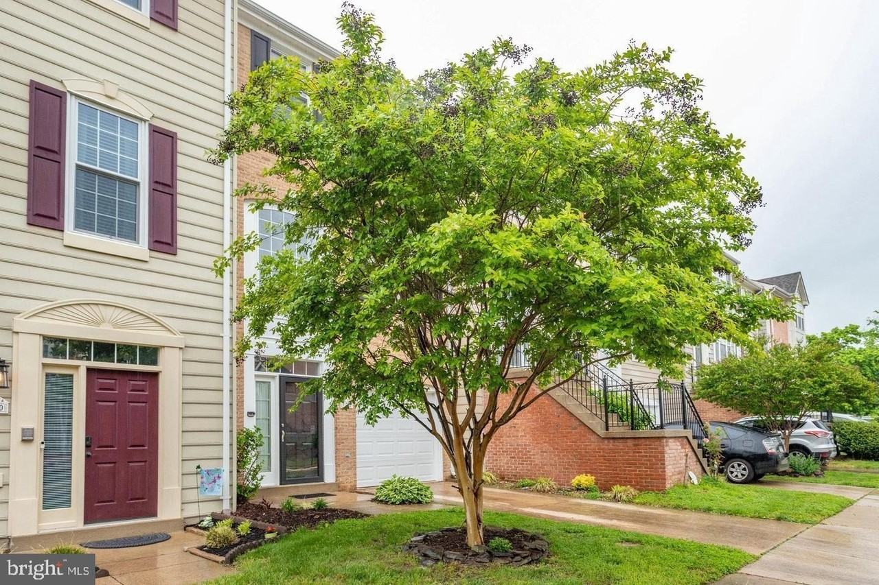 938 Herons Run Ln - Photo 3 of 50