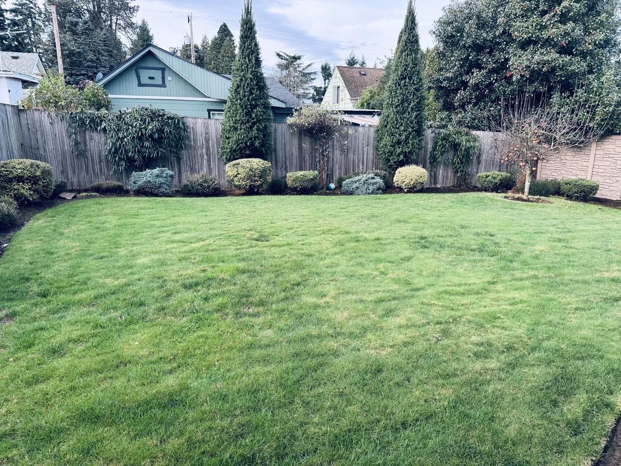 211 Iowa St #1 - Photo 4 of 10