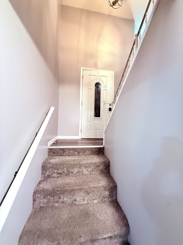 6109 Richmond Ave #1 - Photo 5 of 20