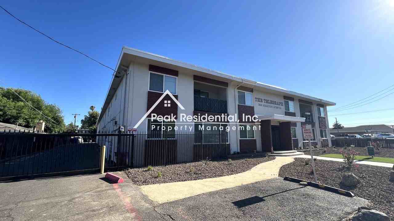 The Telegraph - Photo 2 of 36