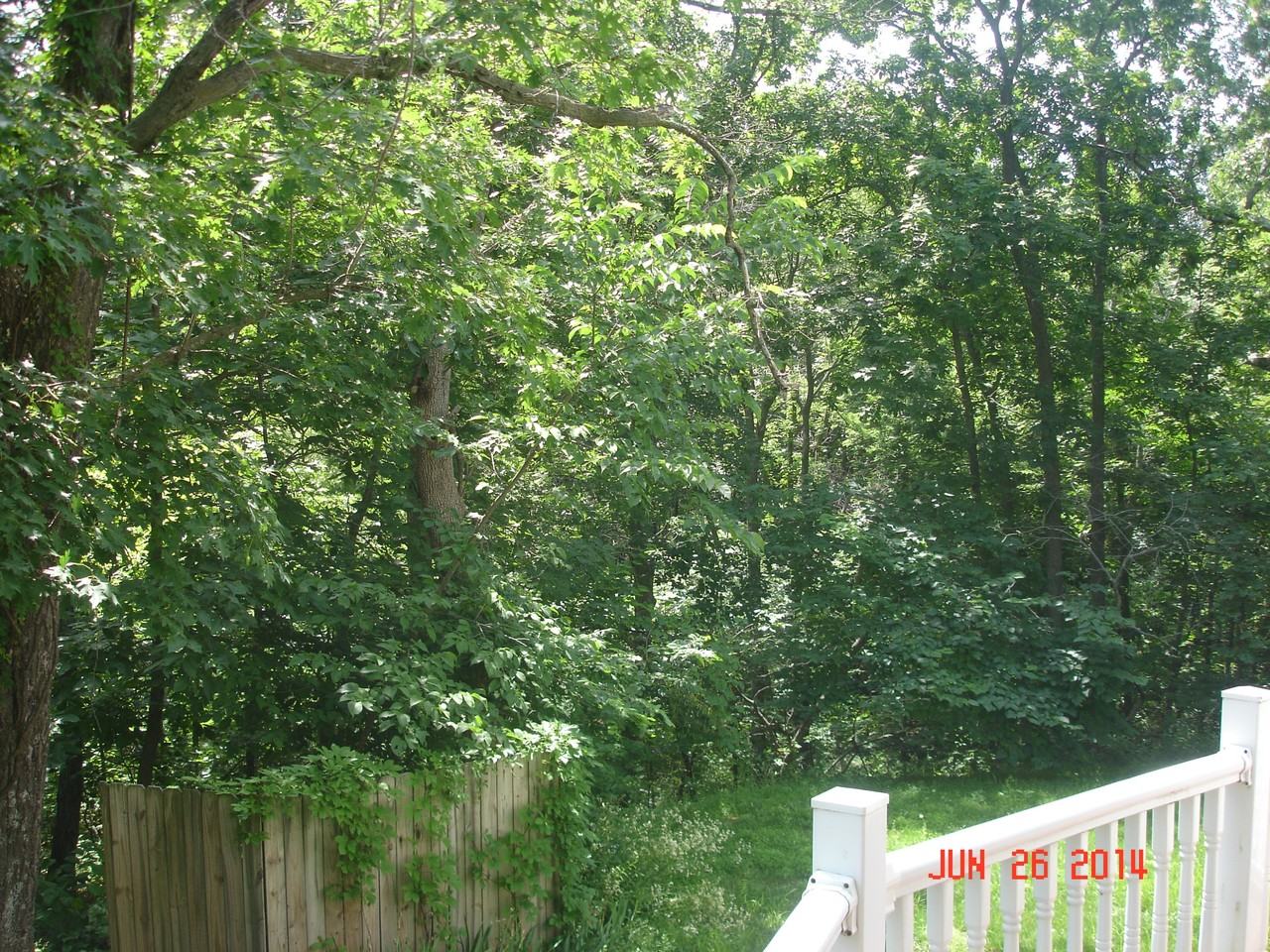 530 Se 325th Rd #1 - Photo 6 of 11