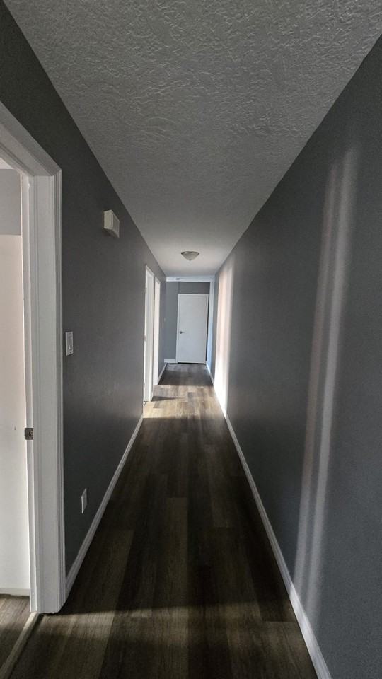 157 Mcsweeney Ave #3 - Photo 3 of 11