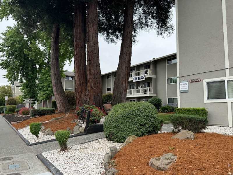 8025 Beverly Dr #00 - Photo 4 of 11