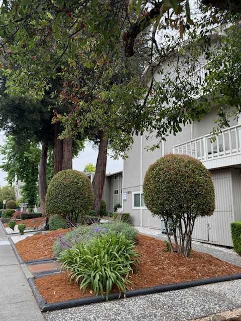 8025 Beverly Dr #00 - Photo 5 of 11