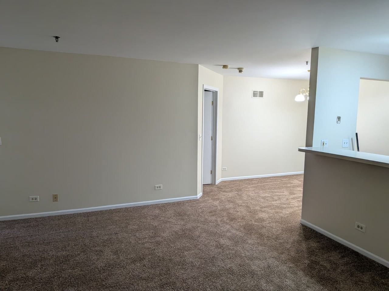 5S455 Scots Drive - 1Unit F #1 - Photo 5 of 20