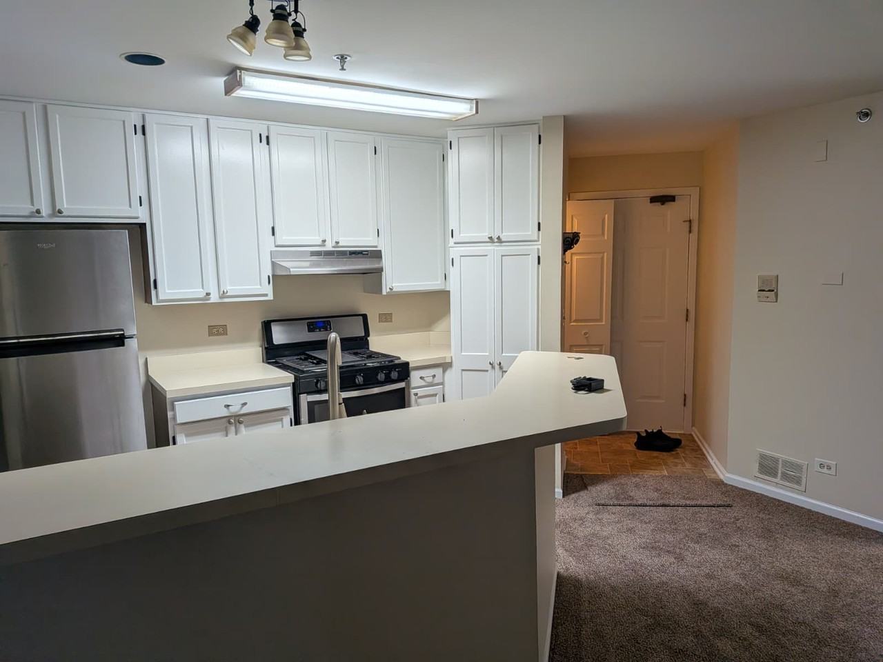 5S455 Scots Drive - 1Unit F #1 - Photo 6 of 20