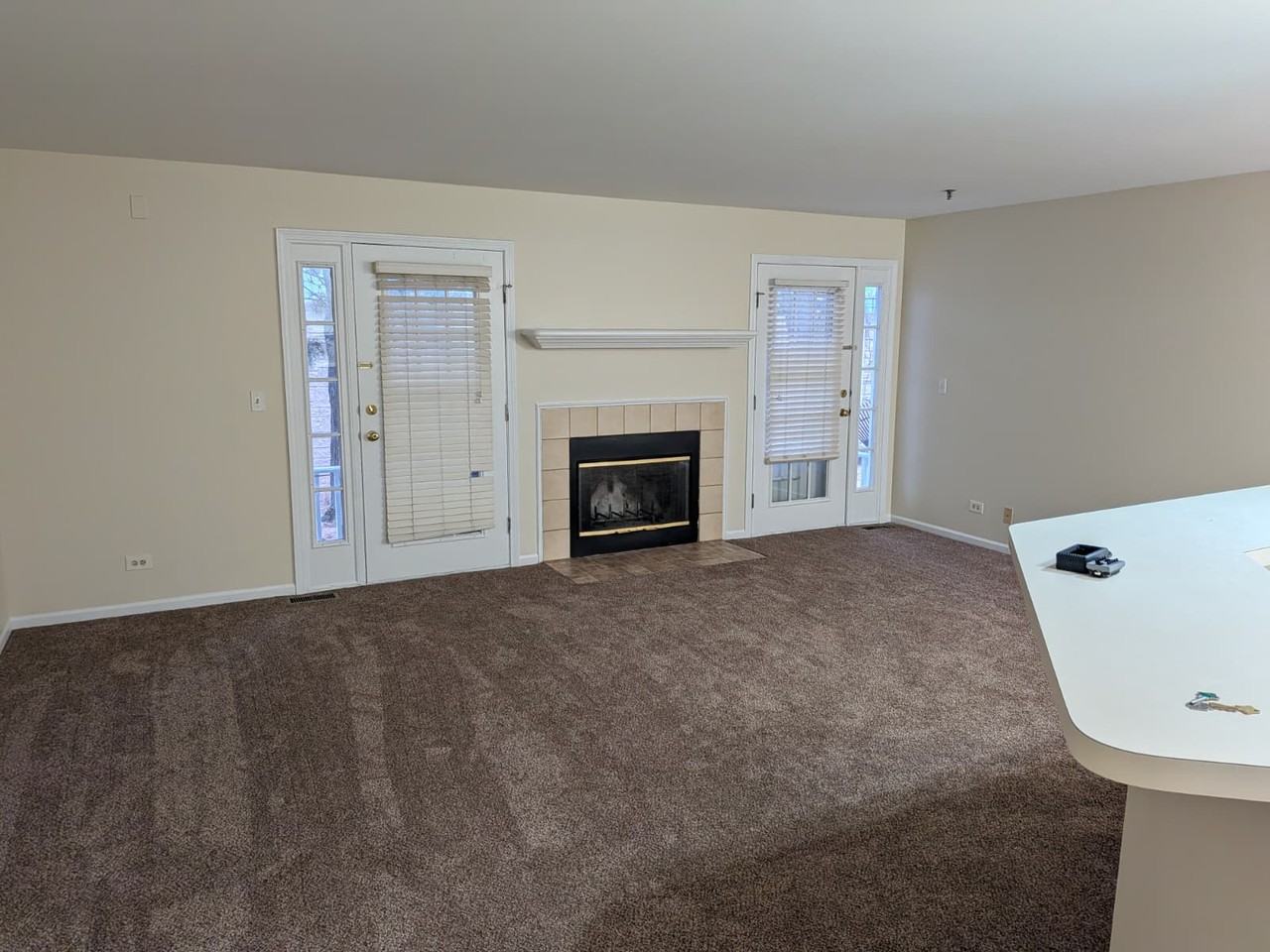 5S455 Scots Drive - 1Unit F #1 - Photo 7 of 20