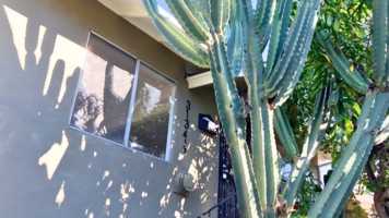 featured image of 3134 1/2 Arvia St