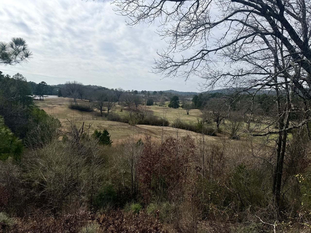 501 Belvedere Drive - 1C 1 #1 - Photo 4 of 27