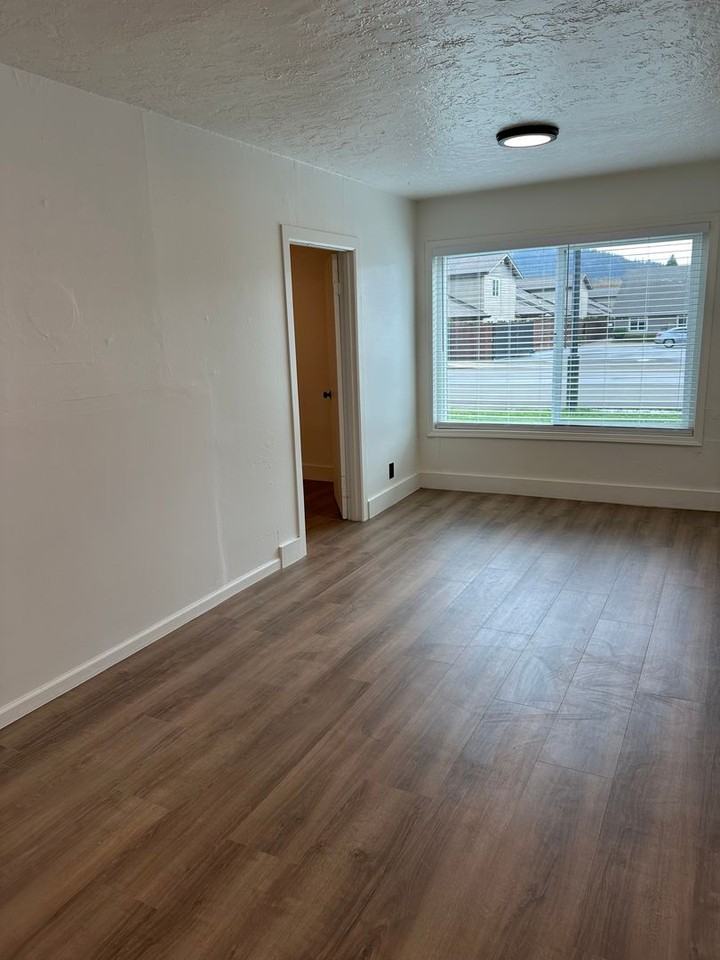 PAND1119 - Photo 3 of 20