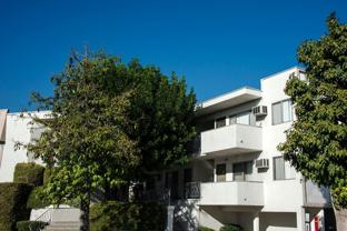 souken - Photo 1 of 1