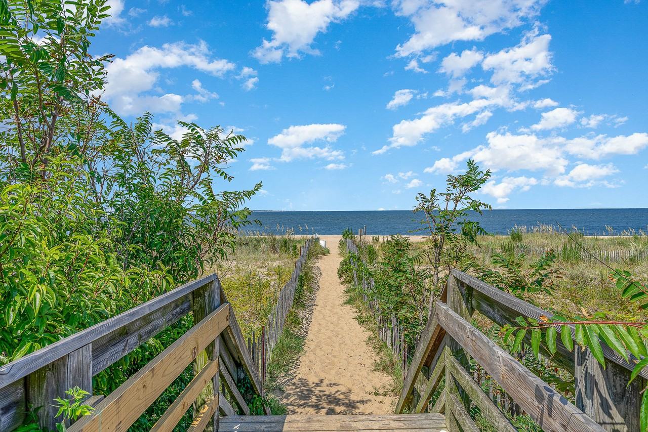 1540 Chela Ave #5 - Photo 2 of 26