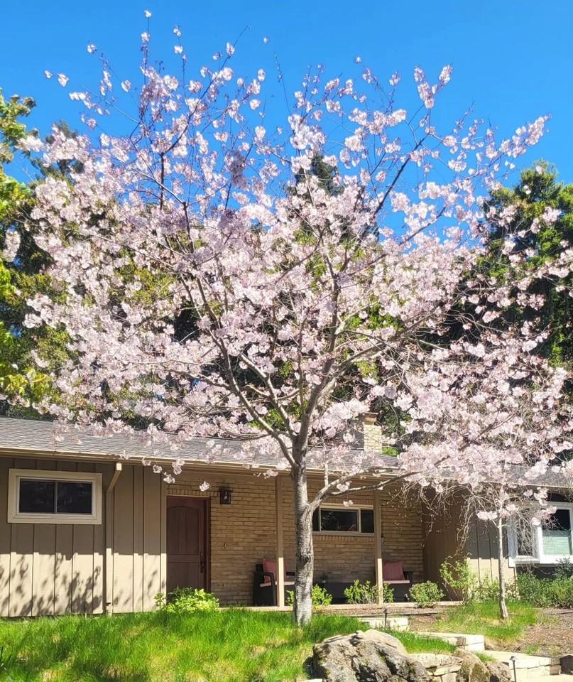 111 Escanyo Way - Photo 2 of 10