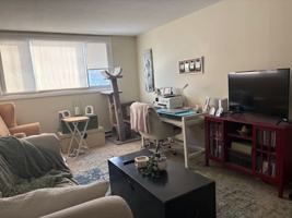 featured image of 41 Fairmount Pl #3