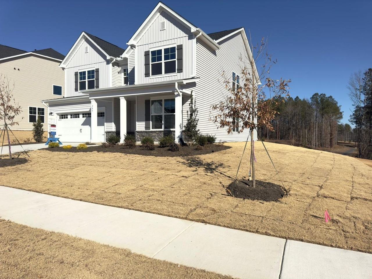 245 Canyon Gap Way - Photo 2 of 50