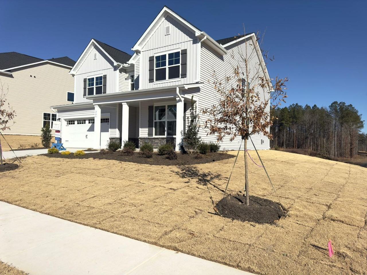 245 Canyon Gap Way - Photo 3 of 50