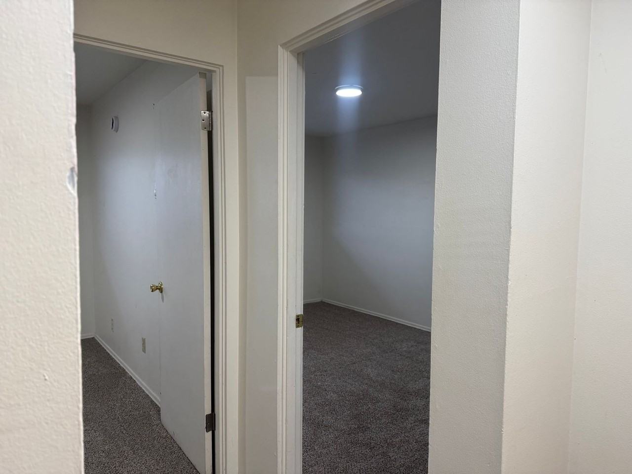 5.1 - Alpha Phase Apartments - Photo 5 of 11