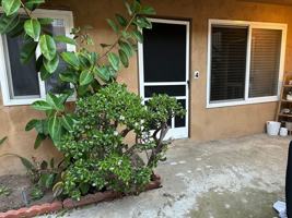 featured image of 5055 Saratoga Ave