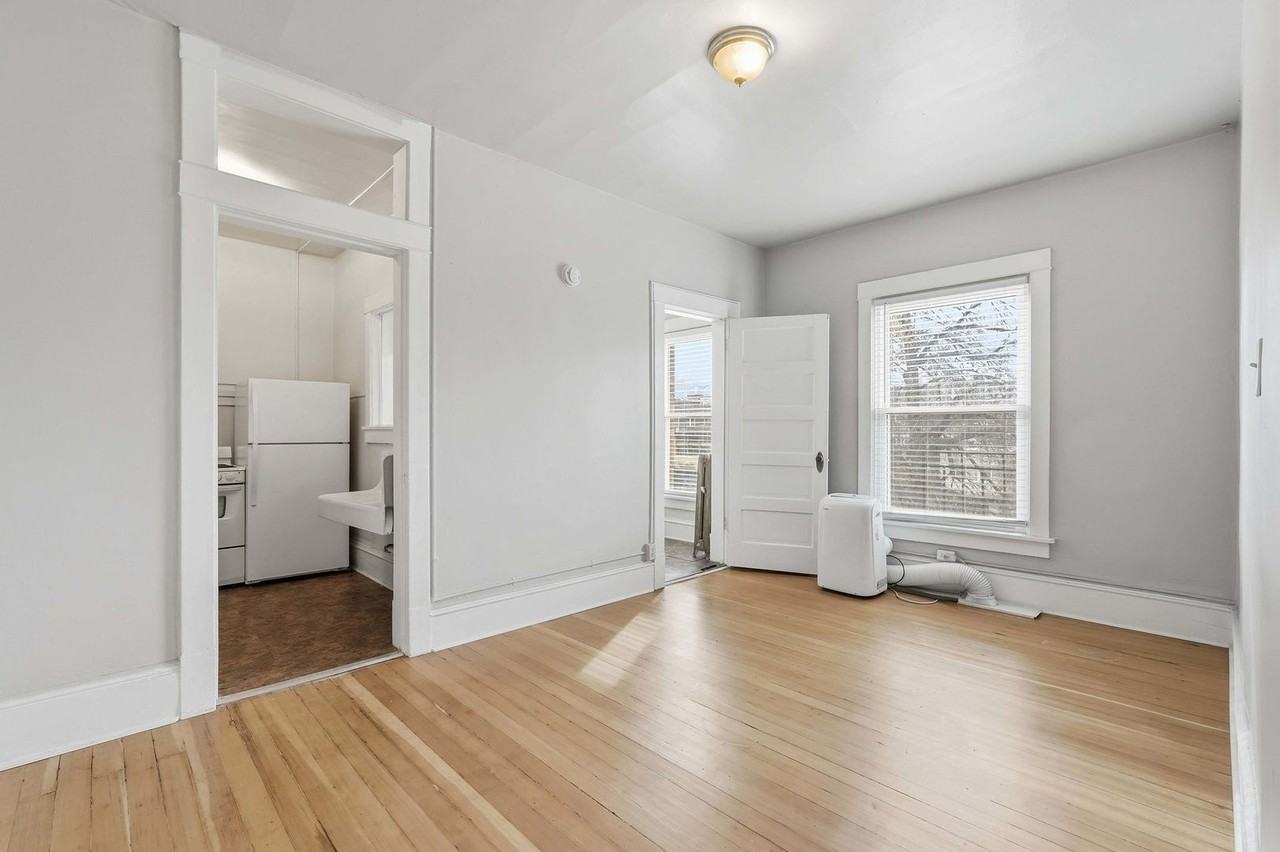 Swallow - Photo 2 of 44