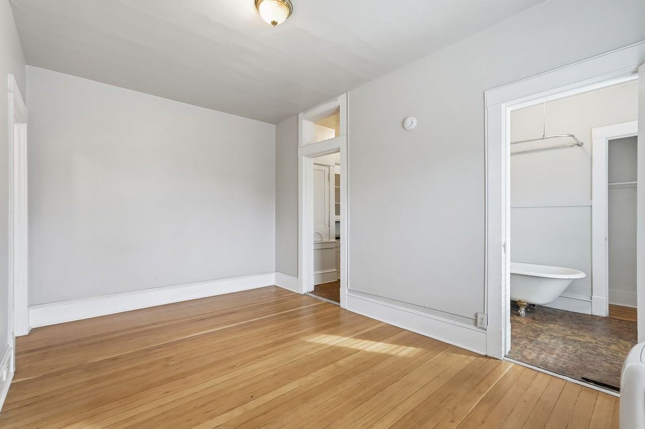 Swallow - Photo 3 of 44