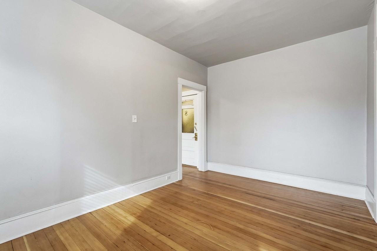 Swallow - Photo 4 of 44