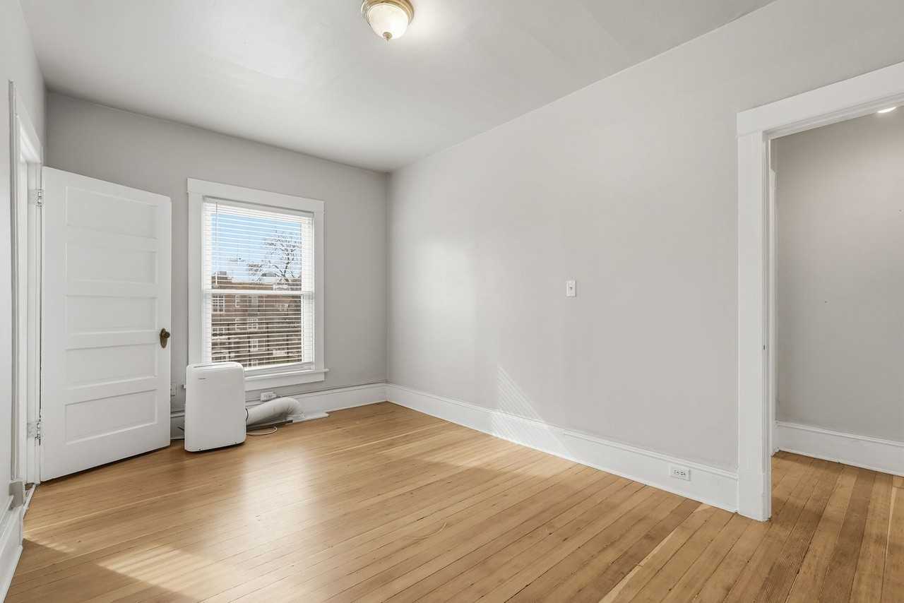 Swallow - Photo 5 of 44