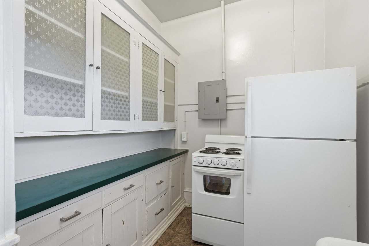 Swallow - Photo 6 of 44