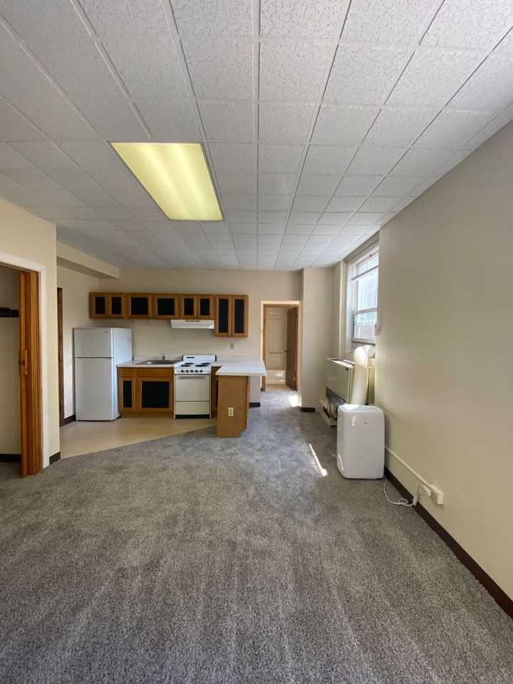 1233 Marshall / 1222-36 Cass - Photo 7 of 48