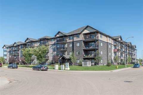 Pacific Rise - Photo 3 of 27