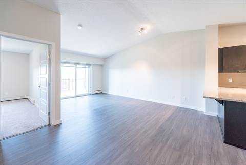 Pacific Rise - Photo 4 of 27