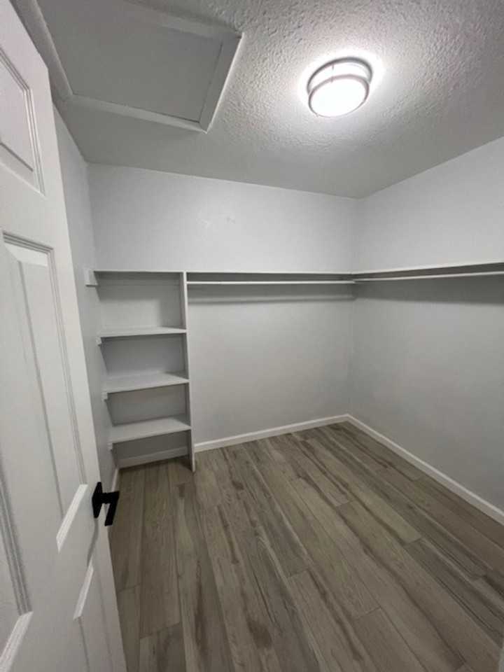 Spacious 1BR/1BA with a huge walk - Photo 3 of 3