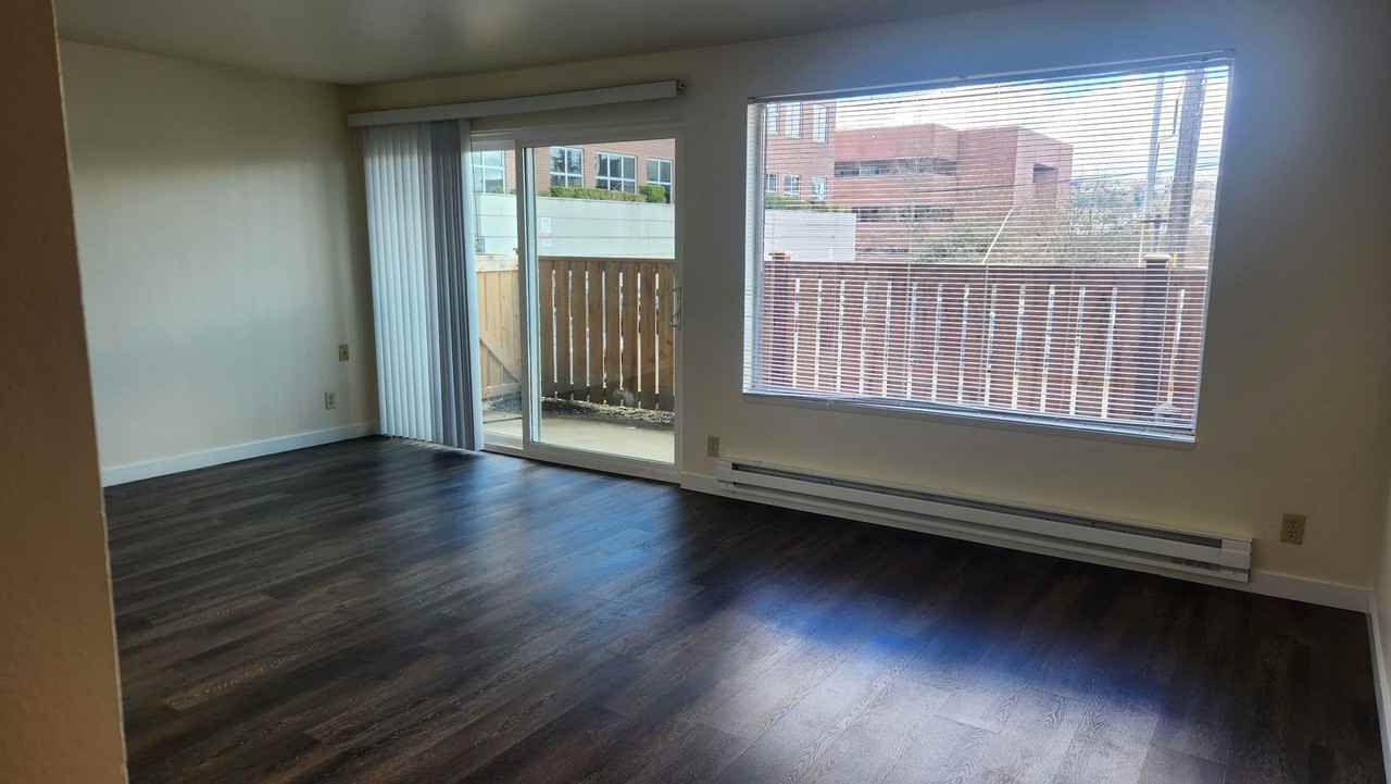 Admiral - Photo 5 of 18