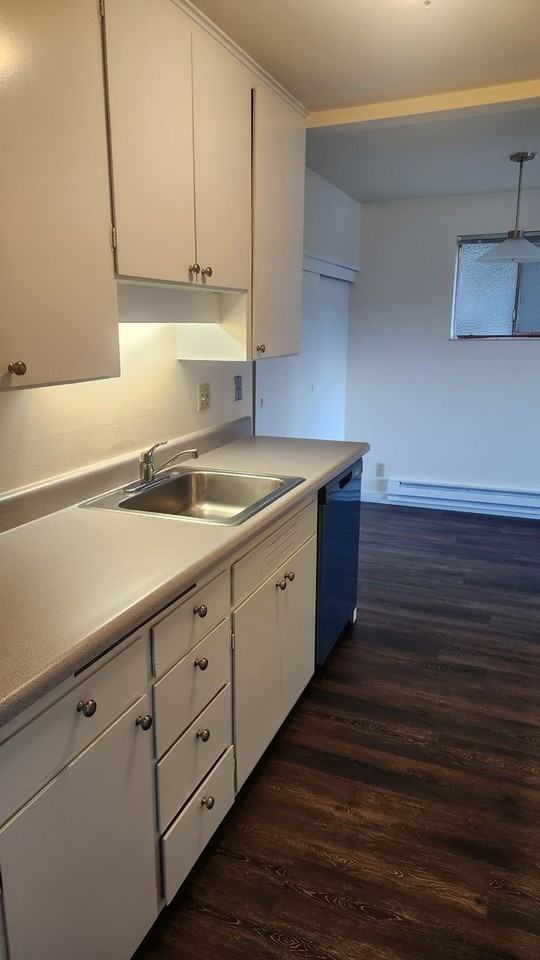 Admiral - Photo 6 of 18