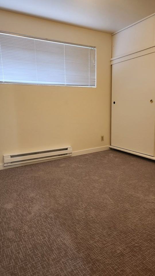 Admiral - Photo 7 of 18