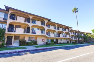 128Chap - Photo 1 of 1