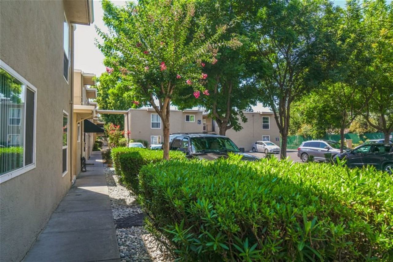 Villa Serrano New - Photo 6 of 27