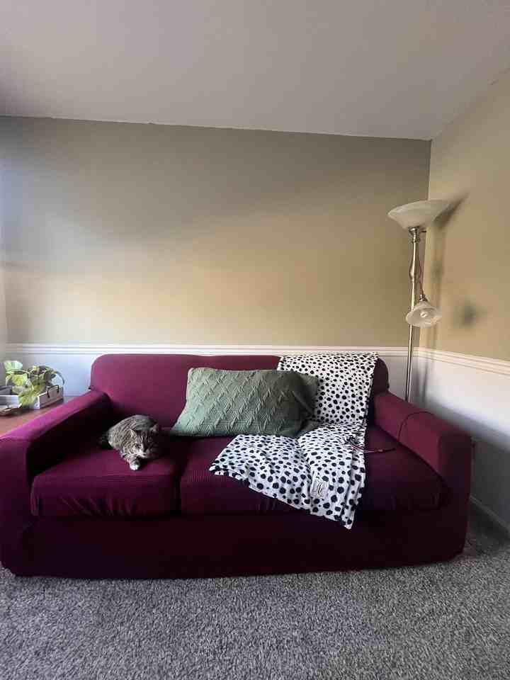 Sussex Court Apartments - Photo 5 of 13